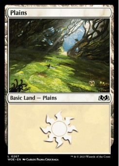 Plains