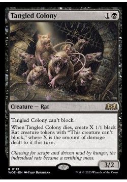 Tangled Colony