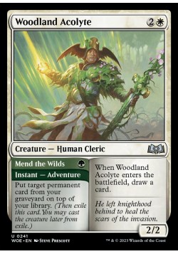 Woodland Acolyte // Mend the Wilds