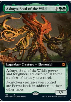 Ashaya, Soul of the Wild