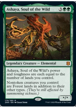 Ashaya, Soul of the Wild