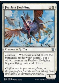 Fearless Fledgling