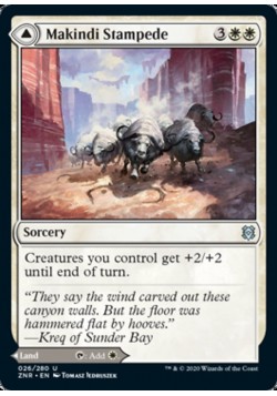 Makindi Stampede // Makindi Mesas