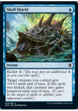 Shell Shield