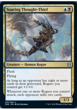 Soaring Thought-Thief