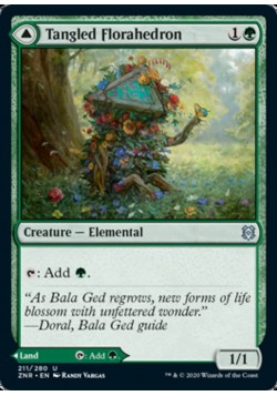 Tangled Florahedron // Tangled Vale