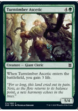 Turntimber Ascetic