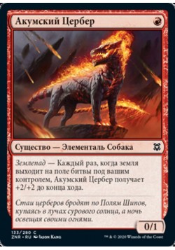 Акумский Цербер