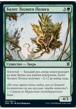 Балот Лесного Полога