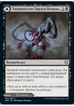 Хищничество Ущелья Пелакка // Пещеры Ущелья Пелакка