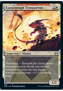 Каньонный Тушканчик