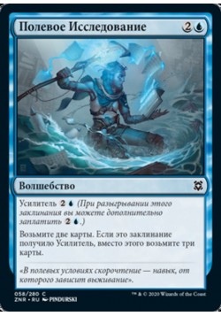 Полевое Исследование