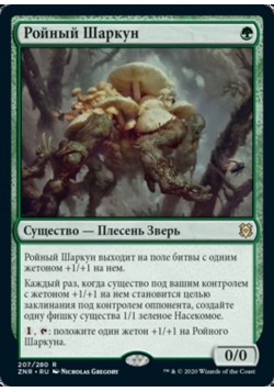 Ройный Шаркун