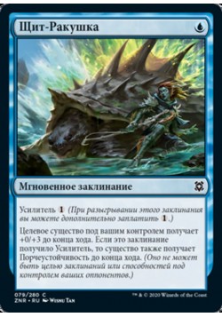 Щит-Ракушка