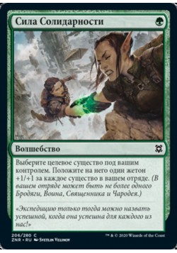 Сила Солидарности