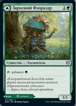 Заросший Флораэдр // Заросший Дол
