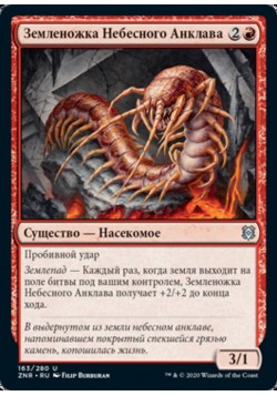 Земленожка Небесного Анклава