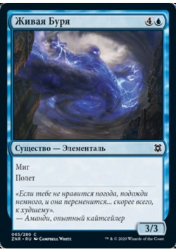 Живая Буря