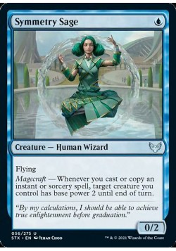 Symmetry Sage