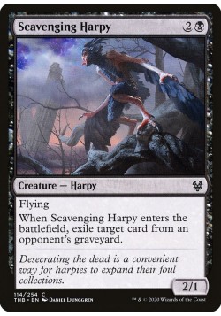 Scavenging Harpy