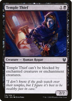Temple Thief